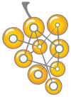 Cluster_1.png